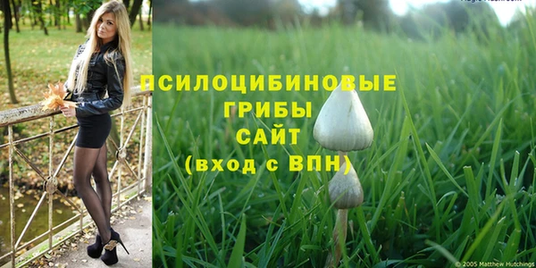 PSILOCYBIN Белокуриха