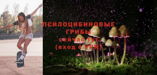 PSILOCYBIN Белокуриха